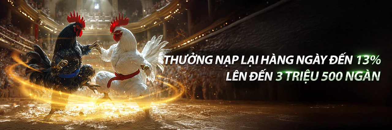 Đội ngũ hỗ trợ khách hàng chuyên nghiệp của bl5555